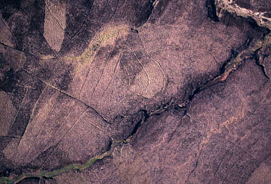 Flight and navigation devices